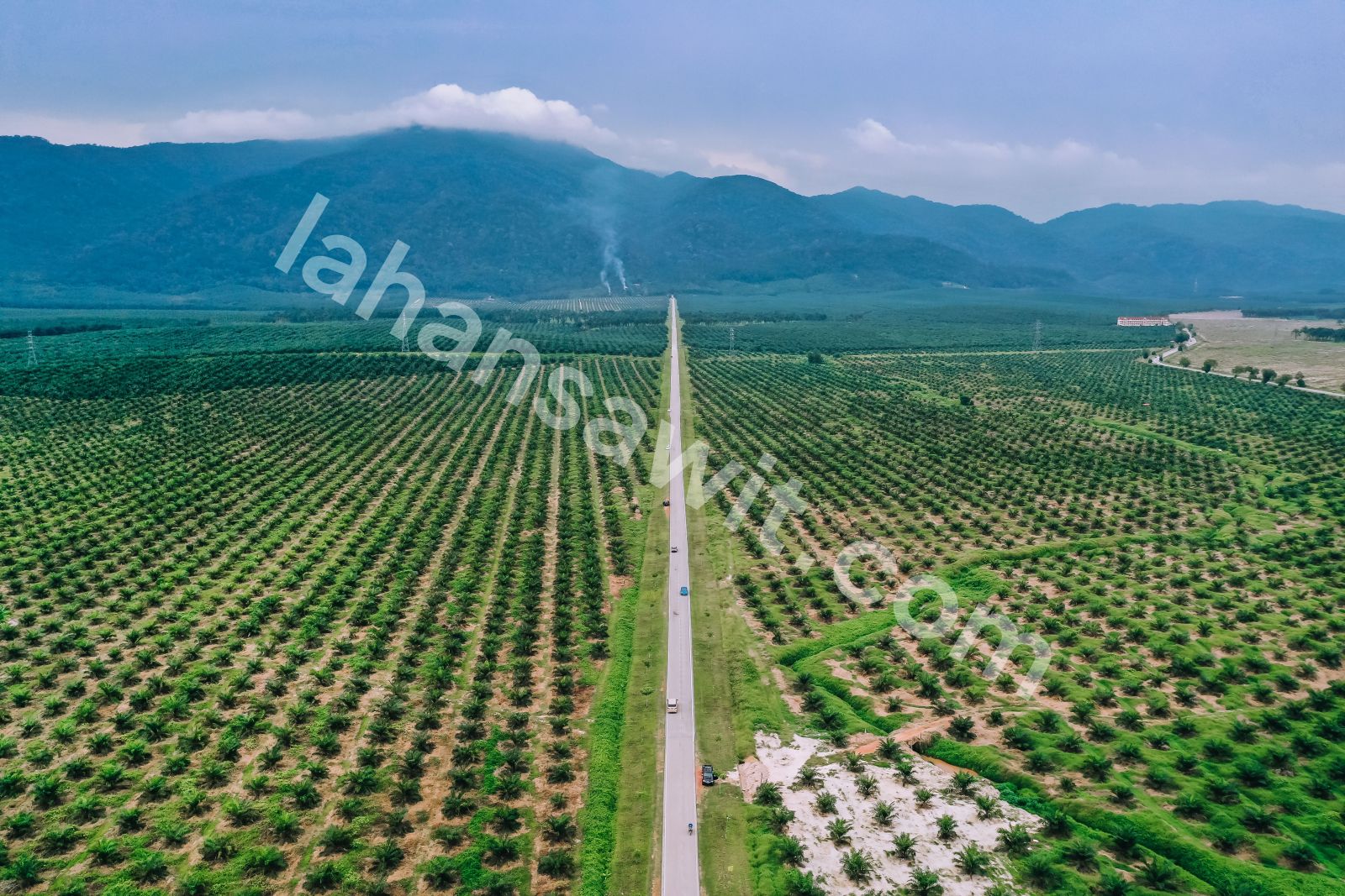 Lahan Sawit 18 Ha di Cempaga, Kotawaringin Timur