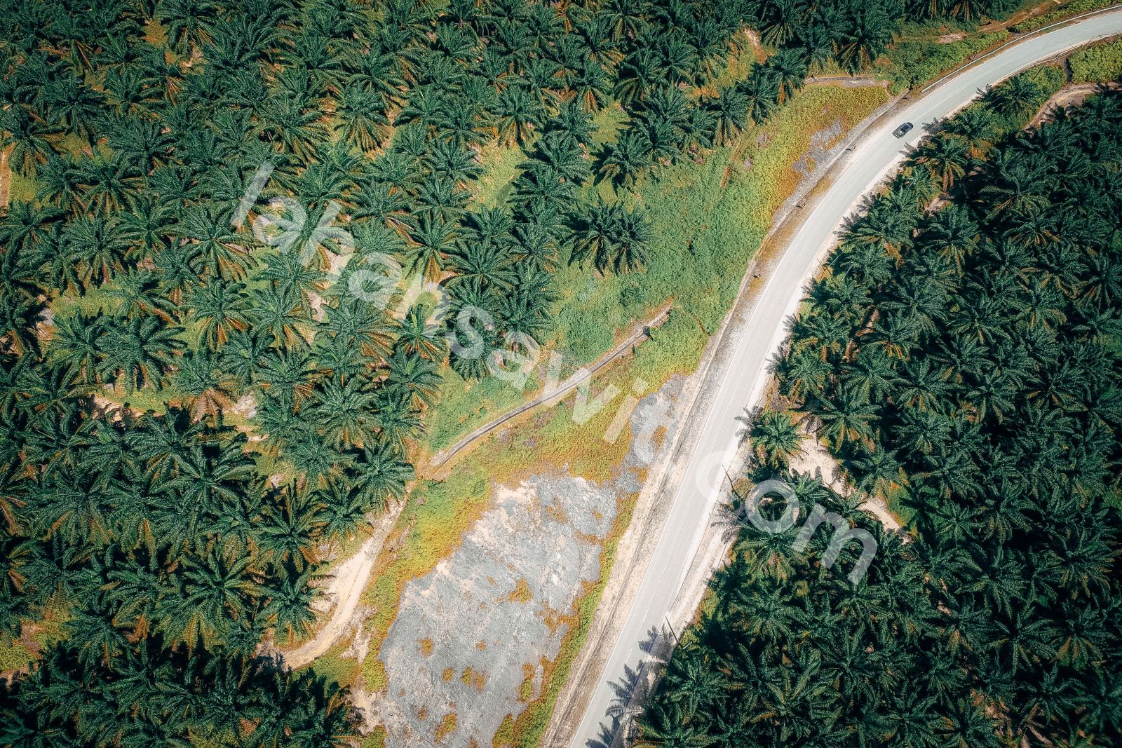 Lahan Sawit 8 Ha di Tapung, Kampar