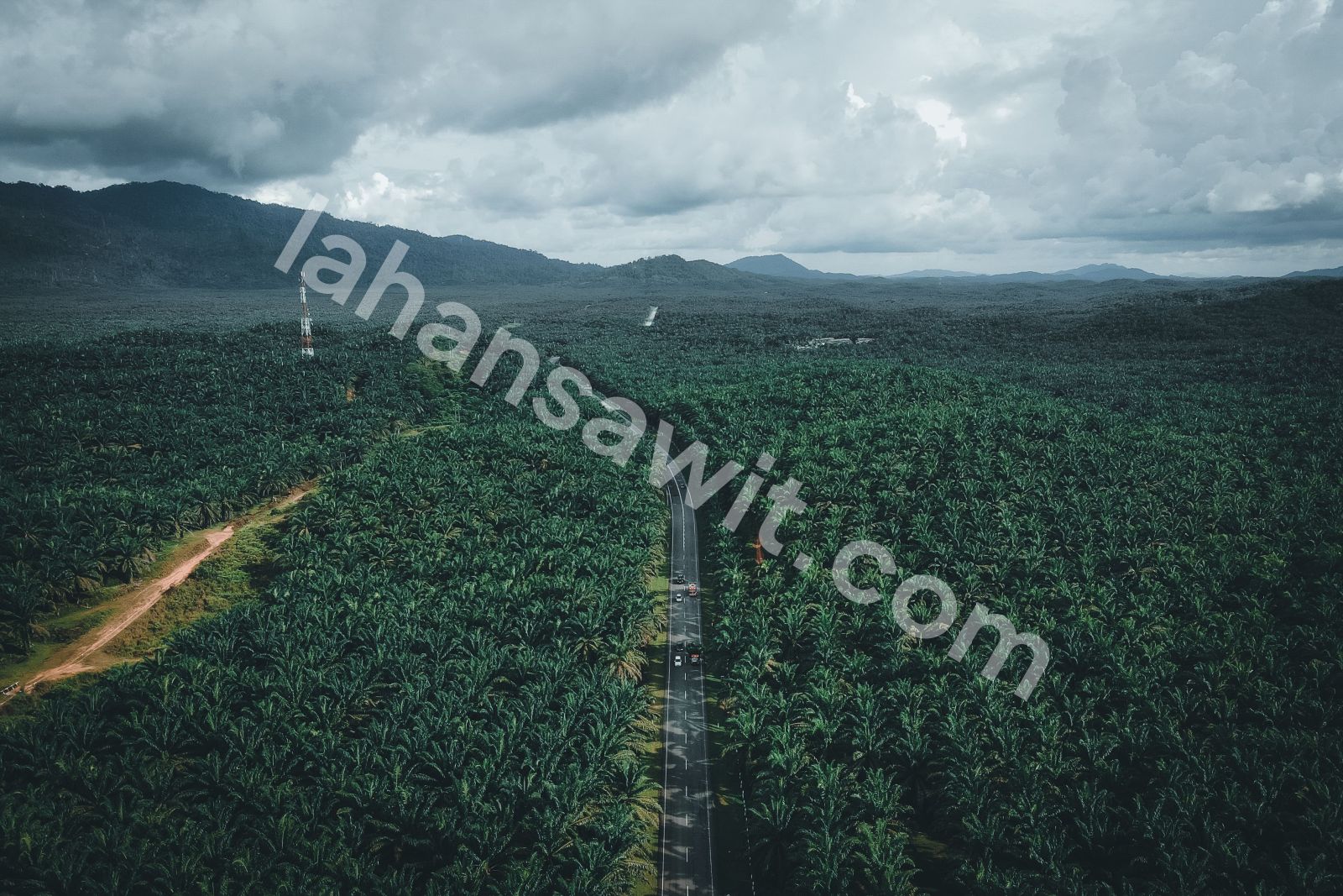 Lahan Sawit 20 Ha di Tandun, Rokan Hulu